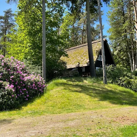 Mit Teich Auf 16.000m² In Der Prázdninový dům *